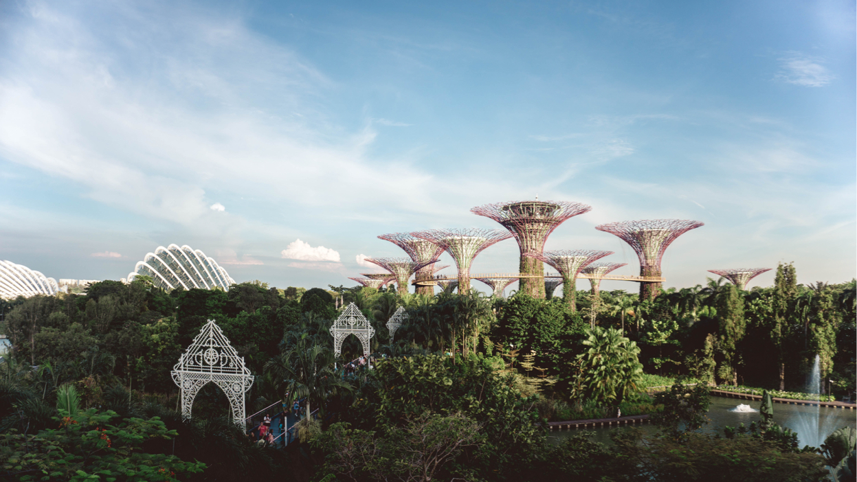 Hills in Vietnam