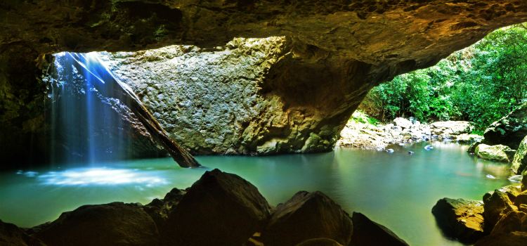 Waterfall at Springbrook National Park
